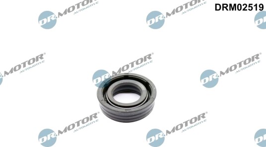 DR.MOTOR AUTOMOTIVE DRM02519 Pakning, kamakselregulering