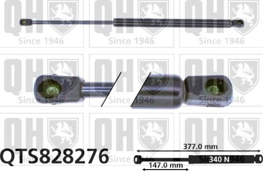 QUINTON HAZELL QTS828276 Baklukedemper