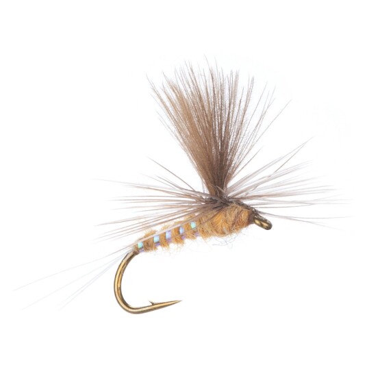 Arcticflies Tørrflue Ignita Flash
