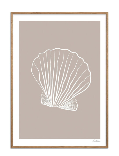 Poster & Frame Emilie Luna   Seashell 01   Multi/patterned   50X70CM