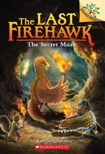 The Secret Maze: A Branches Book The Last Firehawk #10