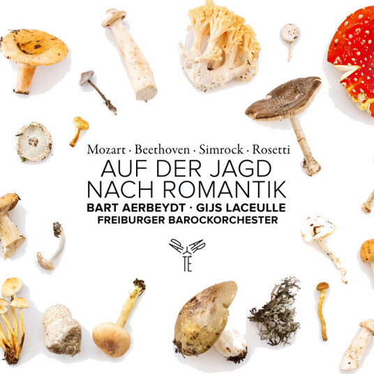 Freiburger Barockorchester Auf Der Jagd Nach Romantik CD