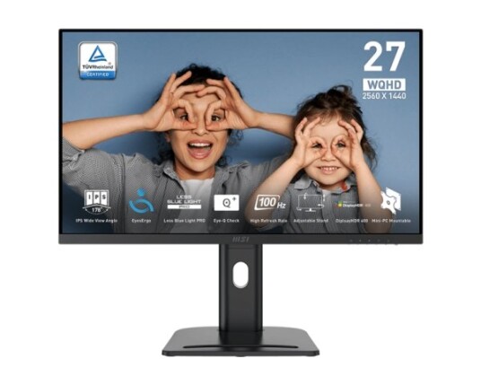 Msi Pro Mp273qpde 69Cm (27") Ips Wqhd Hdmi/Dp/4Ms/Pivot