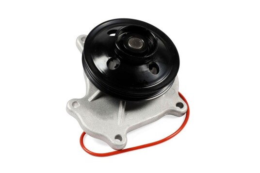 HEPU P7873 Vannpumpe