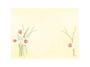 Dunicel Dækkeserviet 30X40 Cm Daffodil Joy,5 Pk X 100 Stk/Krt
