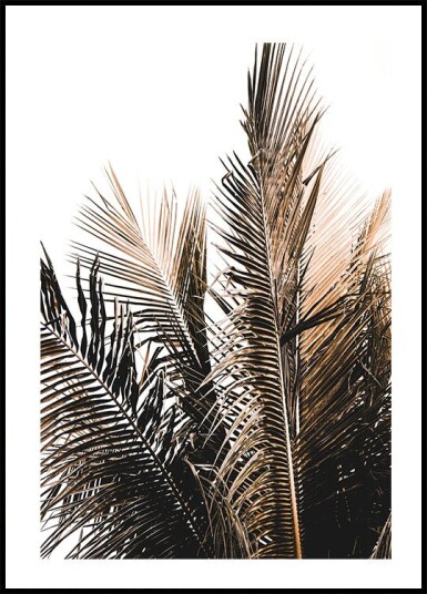 Palm Leaves No. 1 Plakat Plakat / 100x150cm