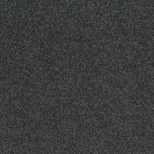Teppeflis   DESSO Palatino   A072 8500
