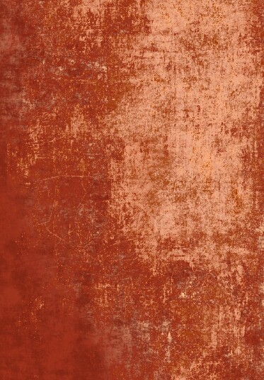 Wilton teppe Lynton terracotta Størrelse: 240 x 340 cm