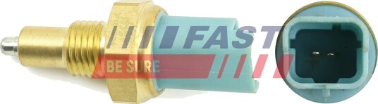 FAST FT81034 Bryter, ryggelys