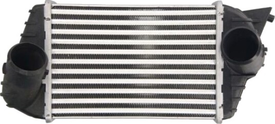 Intercooler THERMOTEC DAF009TT