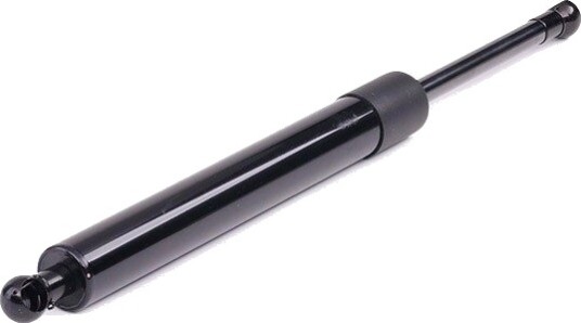 RIDEX 219G0129 Baklukedemper