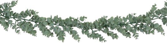 Chaks Girlander Eukalyptus 13357