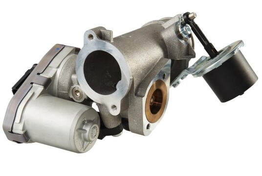 EGR Ventil HELLA 6NU 010 171-171