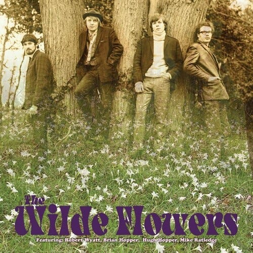 The Wilde Flowers  Wilde Flowers  LP/Vinyl
