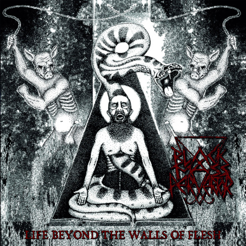 Life Beyond The Walls Of Flesh