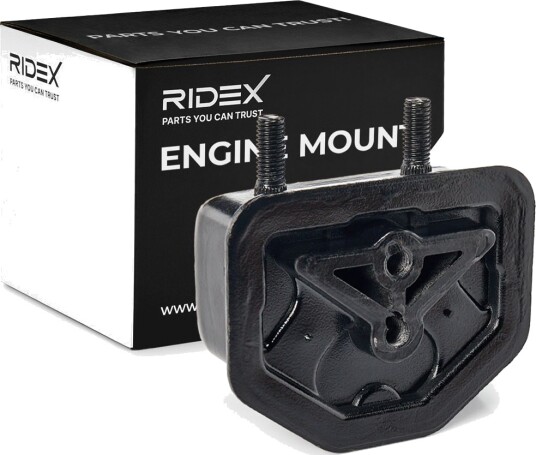 RIDEX 247E1249 Motorfeste