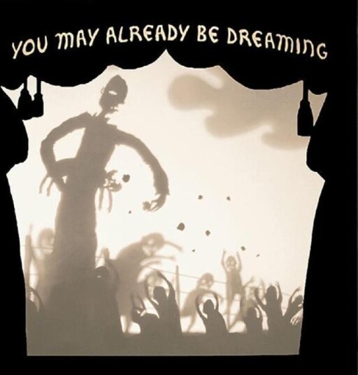 You May Already Be Dreaming Vinyl