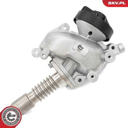 EGR Ventil ESEN SKV 14SKV257