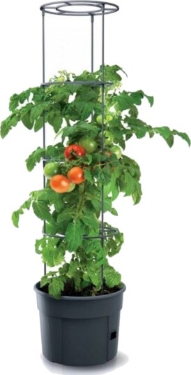 Prosperplast Doniczka Tomato Grower 28L Antrasitt Prosperplast Doniczka Tomato Grower 28L Antrasitt