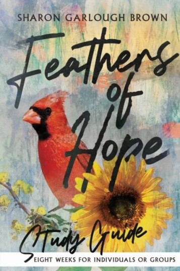 Feathers Of Hope Study Guide Av Sharon Garlough Brown