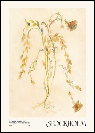 Watercolor print collection. Flower market   Stockholm Plakat / 70x100cm