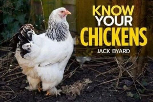 Know Your Chickens Av Jack Byad