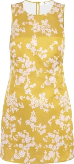 Elisabetta Franchi Dame Kjoler Gul S,