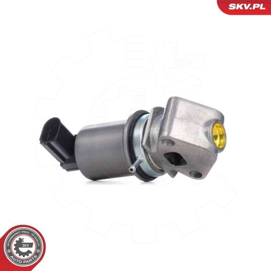 EGR Ventil ESEN SKV 14SKV293