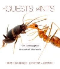 The Guests of Ants – How Myrmecophiles Interact with Their Hosts  How Myrmecophiles Interact with Their Hosts