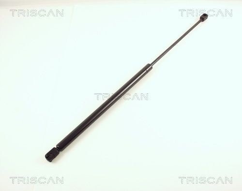 TRISCAN 8710 29243 Baklukedemper