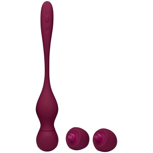 Satisfyer Love Birds Vary Bekkenbunnstrening med fjernkontroll Purple