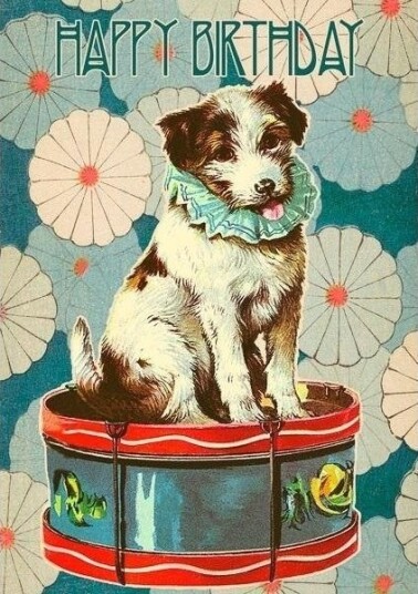 Gavekort B6 Med Konvolutt Birthday Dog Og Tromme
