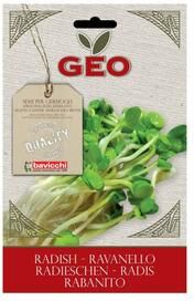 Geo Bavicchi Bavicchi Geo reddikfrø til spiring Ø   30 g