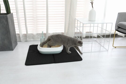 Companion Sammenleggbar Kattsandmatte 65X75 cm