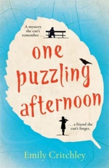 One Puzzling Afternoon The most compelling, heartbreaking debut mystery