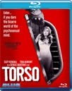 Torso Torso
