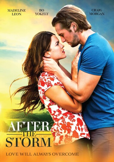 After The Storm (2019) DVD