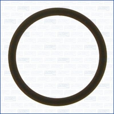 Tetning, innsugningsmanifold AJUSA 24023400