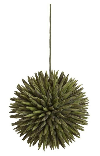 Europalms Succulent Ball (Eva), Green 16cm