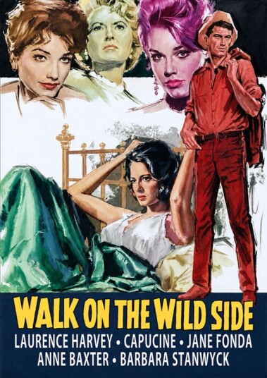 Walk On The Wild Side DVD