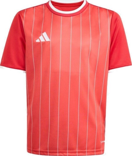 adidas Entrada26 Graphic Jersey Kids størrelse 104 cm
