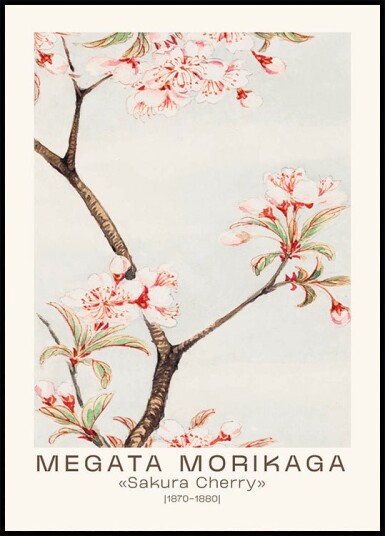 Sakura Cherry Japanese Blossom Megata Morikaga 1870–1880 Plakat Plakat / 21x30cm