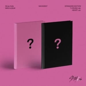 Stray Kids MAXIDENT T CRUSH ver. Stray Kids MAXIDENT T CRUSH ver.