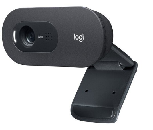 Logitech C505 HD black