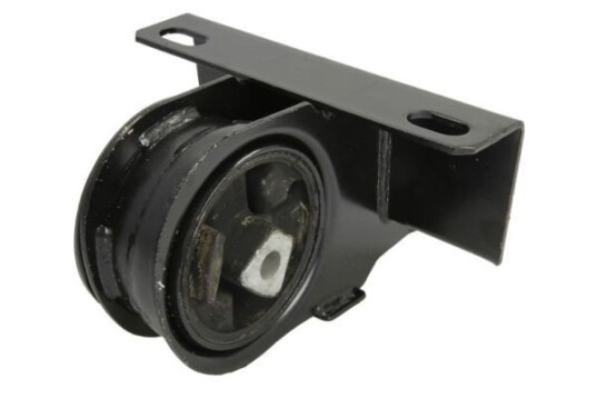Motorfeste REINHOCH RH11-6021