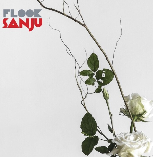 Flook Sanju Uk Vinyl
