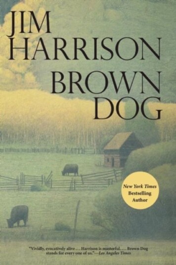 Brown Dog Brown Dog