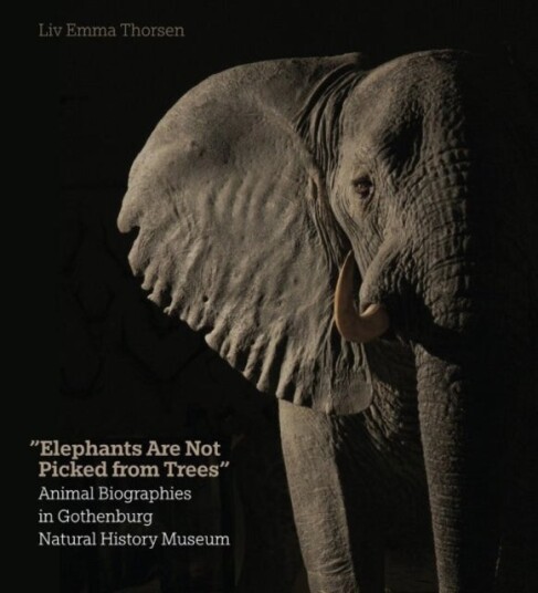 Elephants Are Not Picked from Trees