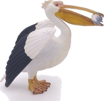 Papo 56009 3 År Marine Life Flerfarget Pvc Papo 56009 3 År Marine Life Flerfarget Pvc