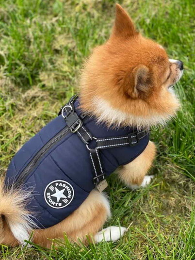 Varm Vest Med Sele Til Hund Varm Vest Med Sele Til Hund